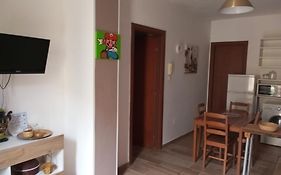 Kite Francy'S House